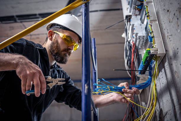 Best Electric Panel Repair  in Fruitville, FL