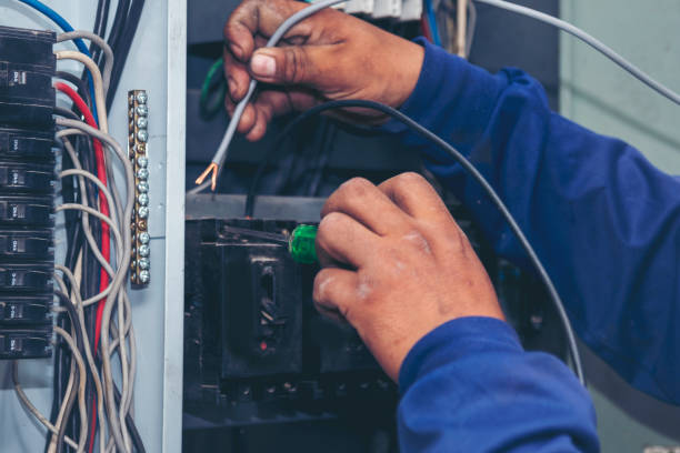 Best Licensed Electrician  in Fruitville, FL