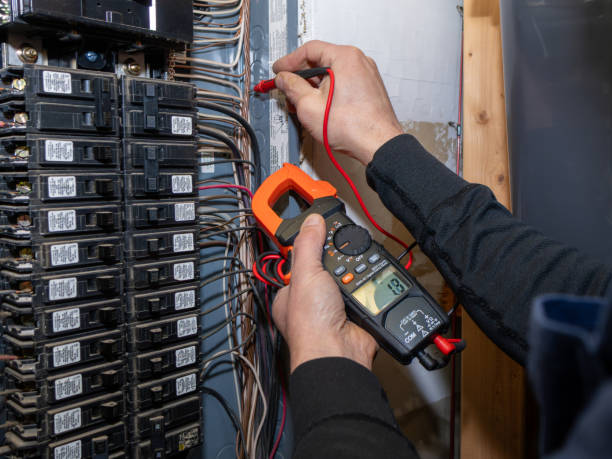 Best Ceiling Fan Installation Electrician  in Fruitville, FL